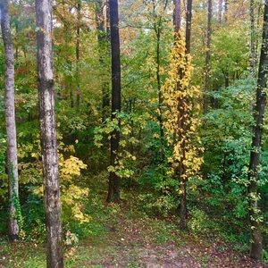 Meet your Posher, Montana